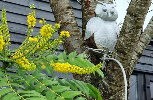 Norwich Casa | Swift Host - Owl Barn - Sleeps 2 - EV Charger - Pet Friendly