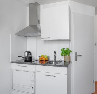 Werd Apartamento | Swiss Star Aussersihl - Self Check-In