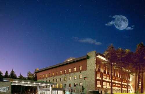 Osmangazi Hotel | Swissotel Uludag Bursa