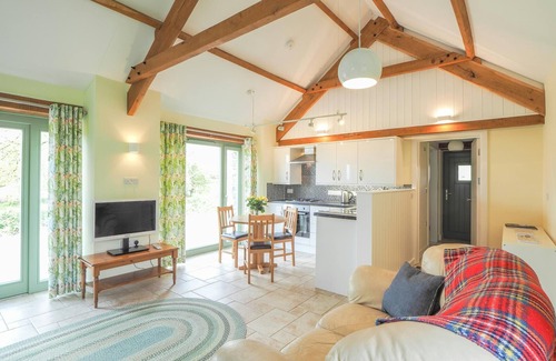 Tregaron Cabaña | Swydd Cwtch, Swyddffynnon