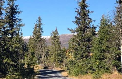 Nordre Land Casa | Sykkelhytte ved Slåtten i Synnfjellet