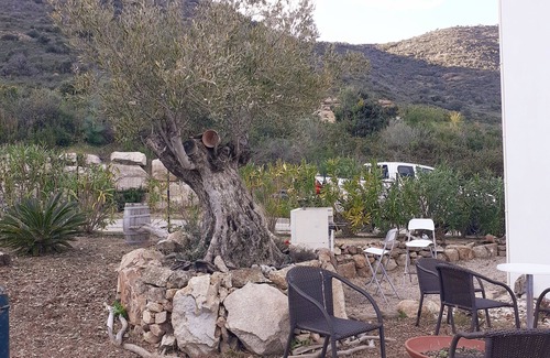 Coggia Apartamento | Sympa sant appianu Studio