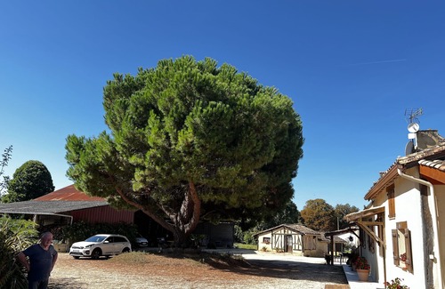 Cavarc Casa | Sympathique Gite Situé sur une Ancienne Exploitation Agricole Belle Terrasse,