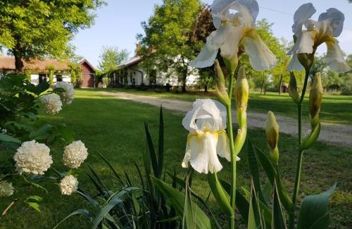 Pusztaszer Casa | Szérűskert Vendégház Pusztaszer