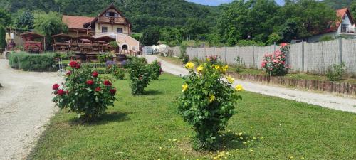 Balatonederics Apartamento | Szabó Pince Vendégház