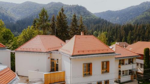 Baile Tusnad Casa | Szent Anna Vendégház