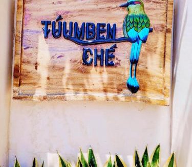 Chichen Itza - Valladolid Apartamento | Túumben Ché Departamento 3