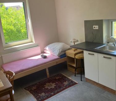 Trebon Apartamento | Třeboň - Apartmány - Vodárenská 534