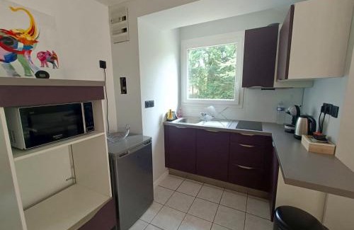 Saint-Aignan-Grandlieu Apartamento | T1 cosy avec jardin à 7 min de l'aéroport, proche de Nantes