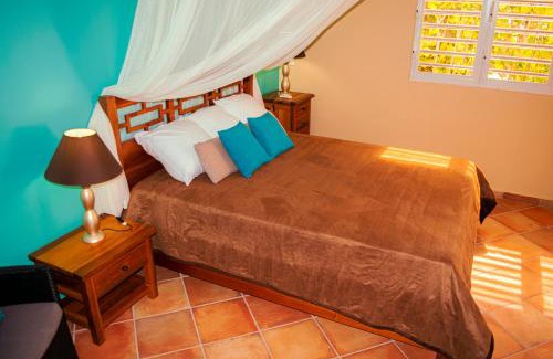 Sainte-Anne Apartamento | T1 D'ALICE SAINTE ANNE CENTRE