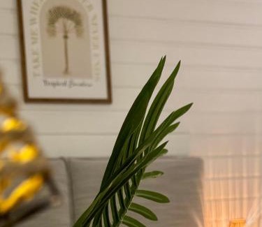 Bas du Fort Apartamento | T2 cosy avec mezzanine, piscine & plage à pied