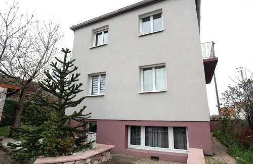 Lingolsheim Apartamento | T2 cosy entre calme et proximité