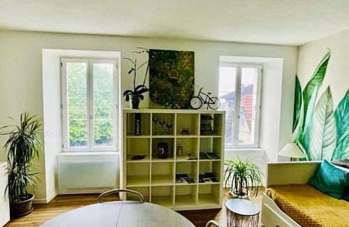 La Roche-sur-Foron Apartamento | T2 Cozy au Centre 4 Personnes RochExpo Train Express Annecy Genève Evian