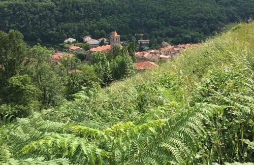 Prats-de-Mollo-la-Preste Apartamento | T2 petite terrasse coeur de ville
