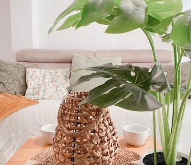Mediterranee Apartamento | T3 climatisé à la plage