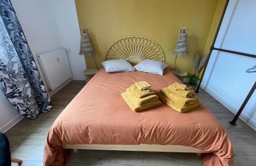 Saumur Apartamento | T3 hyper centre parking privé vue château