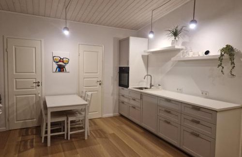 Voru County Apartamento | Taadi studio apartment