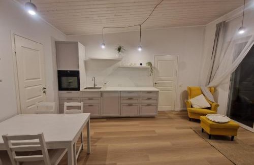 Voru County Apartamento | Taadi studio apartment
