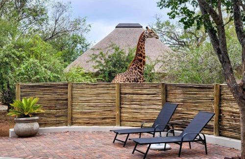 Hoedspruit Cabina | Taaibos Bush Lodge