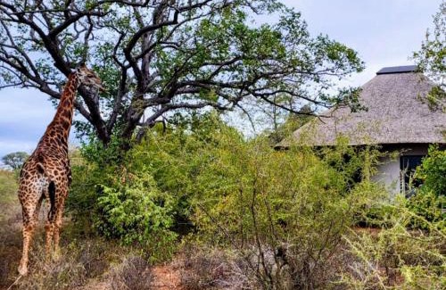 Hoedspruit Cabina | Taaibos Bush Lodge