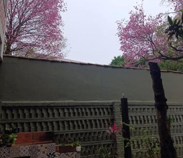 Asuncion Casa | Taguato B&B