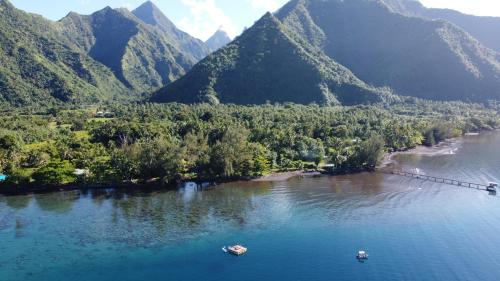 Teahupo'o Casa | tahiti-bungalow at Teahupoo: beachfront with pountoon and mini pool