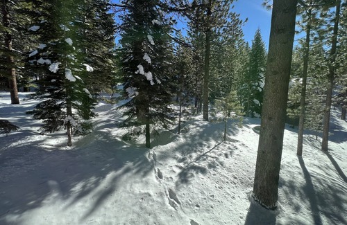 Pioneer Trail Cabina | Tahoe cabin