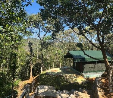 Mananthavady Otro | Taiga Forest