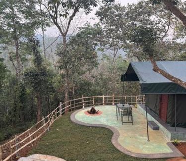 Mananthavady Otro | Taiga Forest