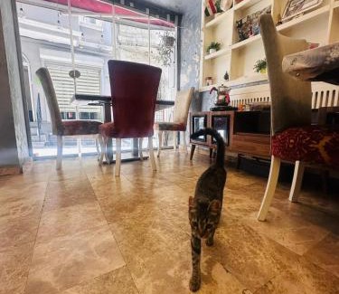Taksim Hotel | Taksim AlyonSuite Hotel Istanbul