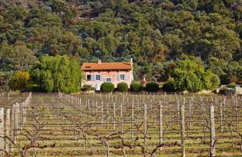 Fordwich Casa | Talits Estate Vineyard