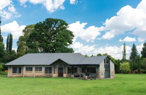 Clarens Casa | Talking Trees - The sound of silence