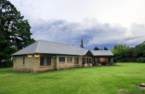 Clarens Casa | Talking Trees - The sound of silence