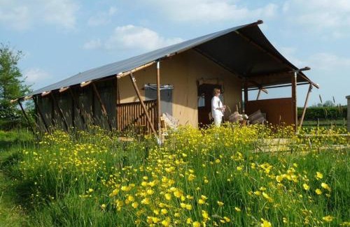 Glastonbury Cabina | Tall Trees Glamping
