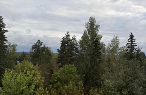 Vaaksy Apartamento | Tallukantie Sauna-apartamentti