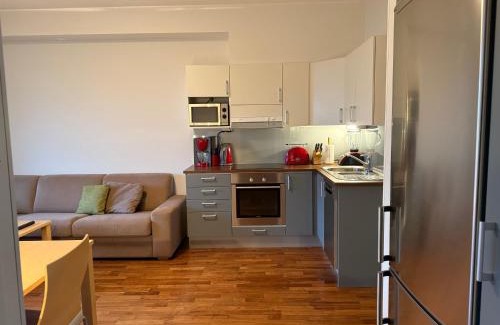 Vaaksy Apartamento | Tallukantie Sauna-apartamentti
