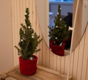 Tervola Apartamento | Talo Mustikankukka Tervola, Finland