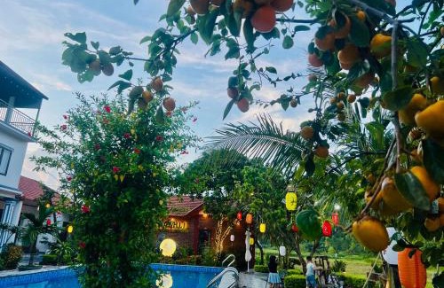 Hoa Lu Hotel | Tam Coc Kamili Bungalow & Homestay