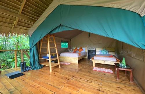 Providencia de Dota Otro | Tami Lodge