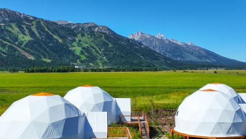 Teton Village Otro | Tammah Jackson Hole