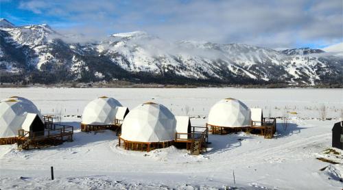 Teton Village Otro | Tammah Jackson Hole