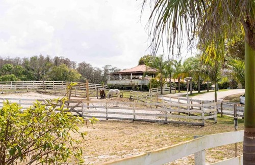 East Lake Apartamento | Tampa Bay Oasis