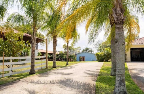 East Lake Apartamento | Tampa Bay Oasis