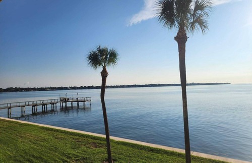 Pinellas Point Condominio | Tampa Bay Waterfront Condo 2B-2B heated pool St. Petersburg FL