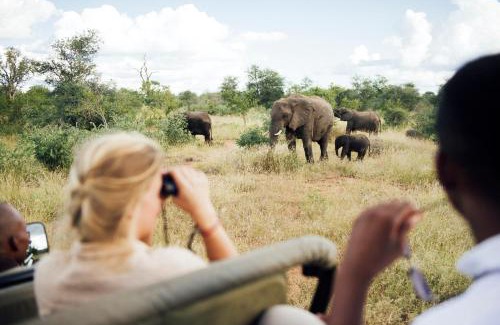 Kruger National Park Cabina | Tanda Tula Safari Camp