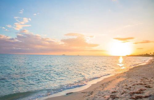 Adelaide Casa | Tangerine Sunsets Pomelo North