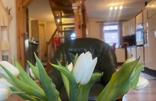 Hohen Mistorf Casa | Tannenhaus Hohen Mistorf