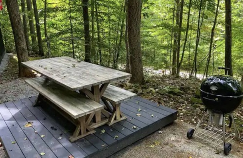 Slade Cabina | Tanzanite-- The "GEM" with a Hot Tub & WiFi!!