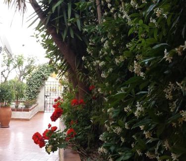 Taormina Apartamento | Taonasi Taormina Apartments
