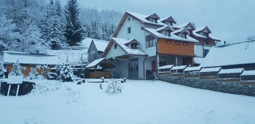 Montenegro Otro | Tara Place - Camp Rabrenovic